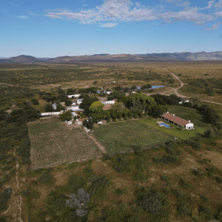 DJI_0048