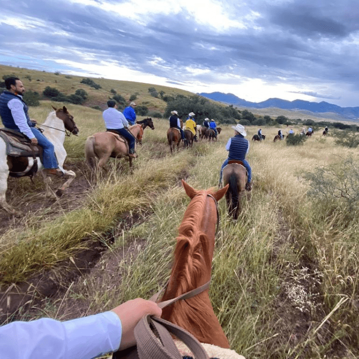 cabalgata (2)