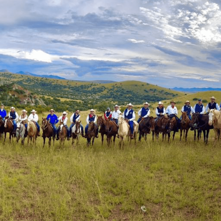 cabalgata 3