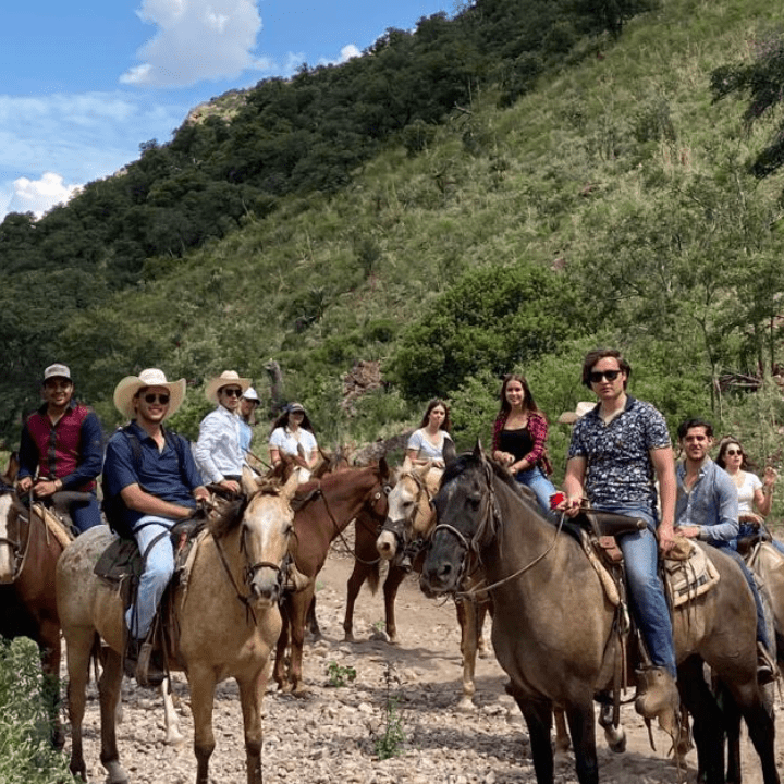 cabalgata 4