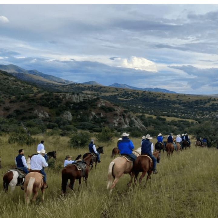 cabalgata
