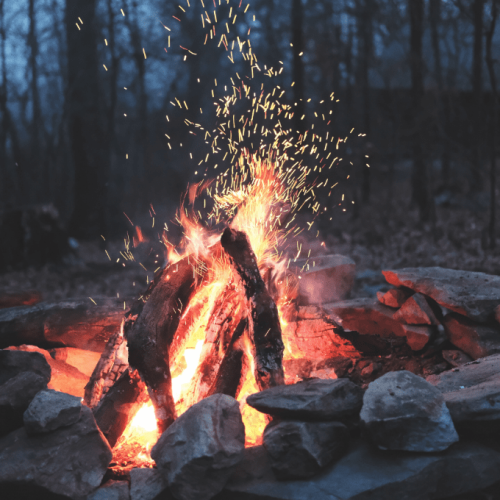 timothy-meinberg-xqV9QdGOSas-unsplash